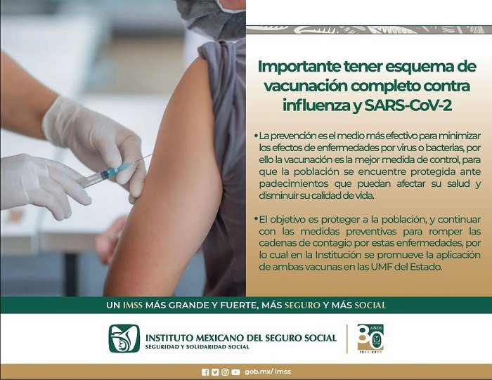 Recomienda Imss Hidalgo Tener Esquema De Vacunación Completo Contra Influenza Y Sars-Cov-2