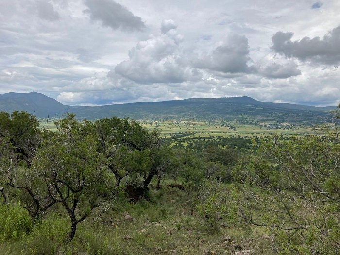 Los Cerros La Paila-El Xihuingo Cumplen su 14 aniversario como Área Natural Protegida