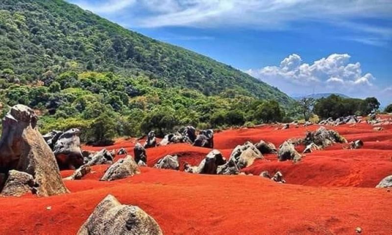 ¿Conoces las “Dunas Rojas” en Pacula, Hidalgo?