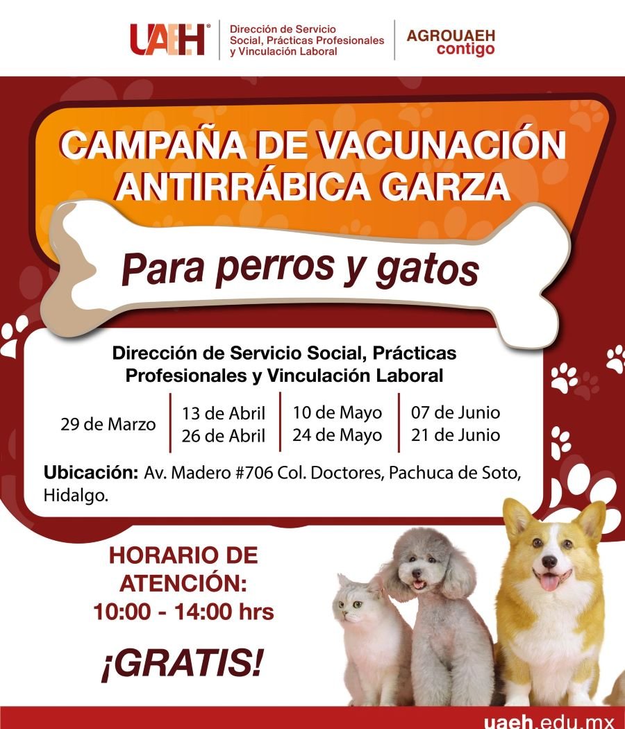 Implementa Programa “AgroUAEH Contigo” Campaña de Vacunación Para Perros y Gatos