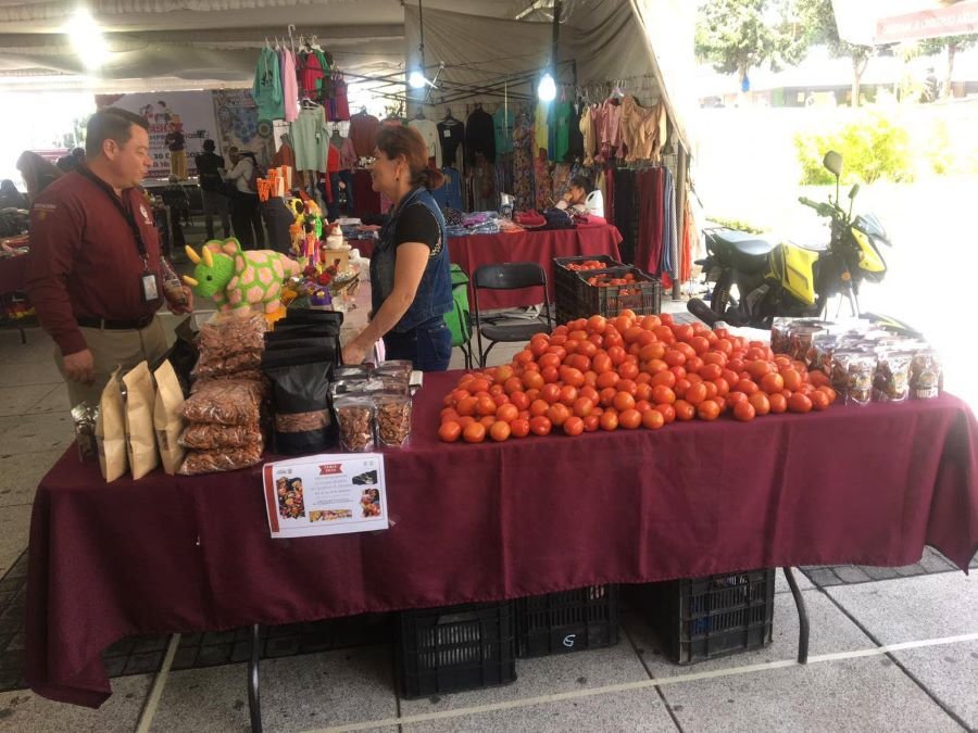 Concluye con éxito Feria de Microempresas y Cooperativas